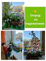 «Огород на подоконнике». 